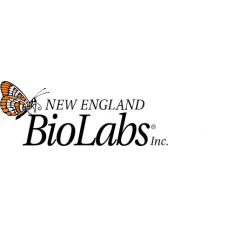 E3330S Набор для подготовки библиотек NEBNext UltraExpress™ RNA Library Prep Kit, 24 реакции, New England Biolabs